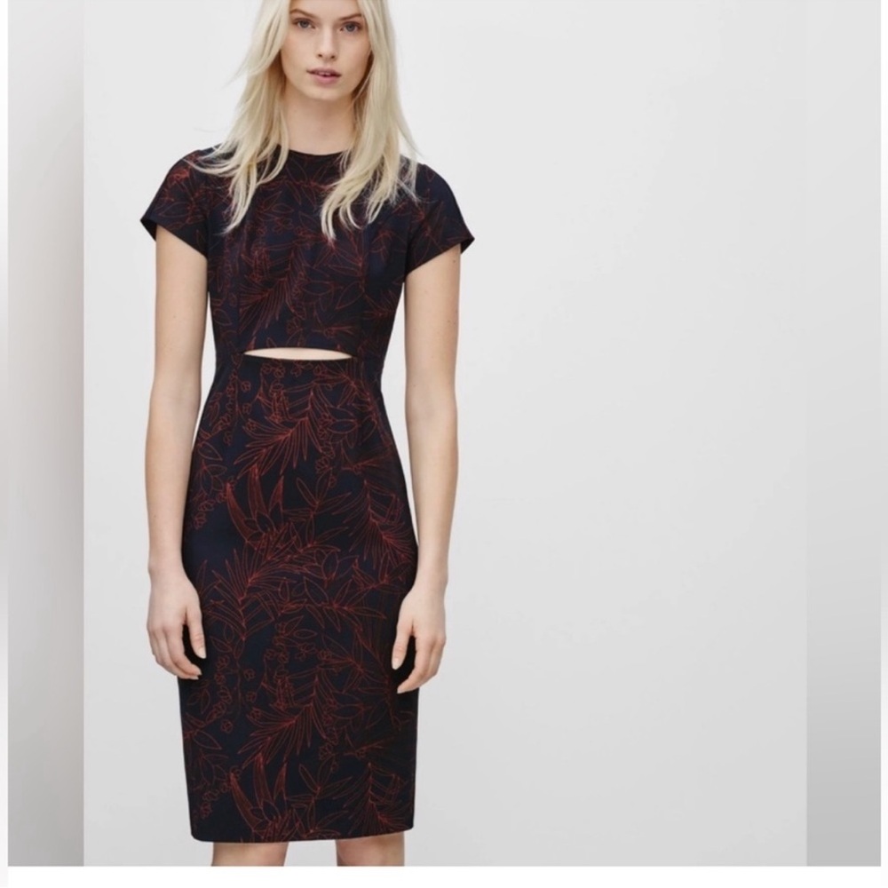 Aritzia Babaton prosper dress